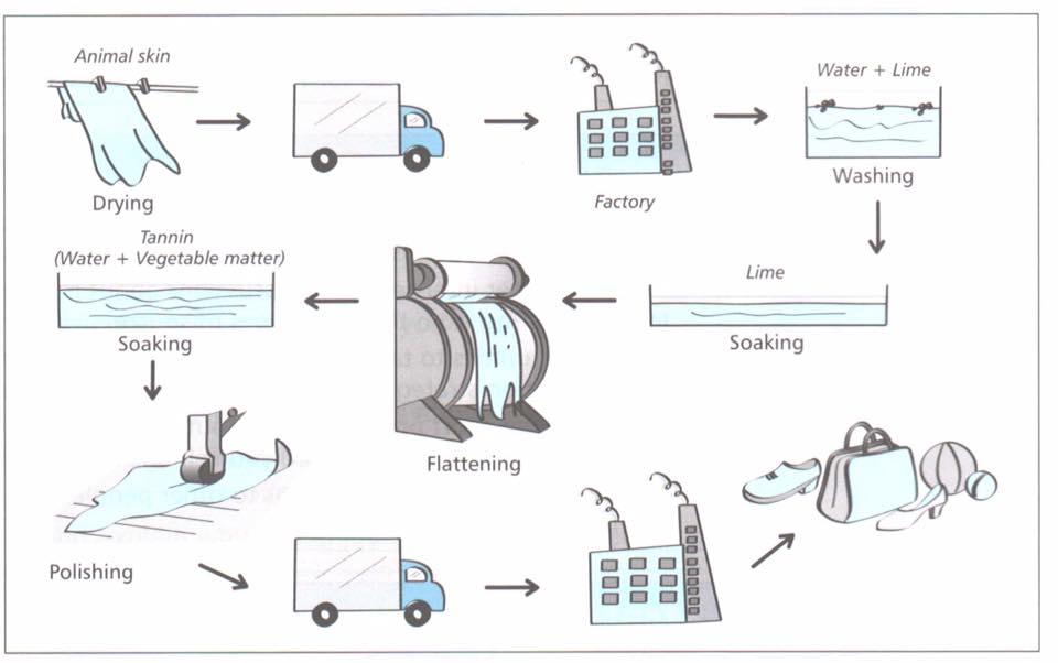 ielts task 1 The diagram below show how leather goods are produced